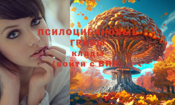 кокс Армянск