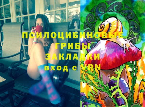 дурь Арсеньев