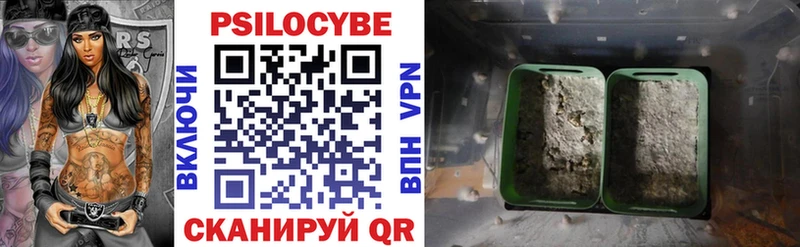Псилоцибиновые грибы мицелий  Купить где  Грязи 